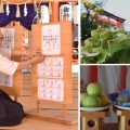 秋色の紫陽花