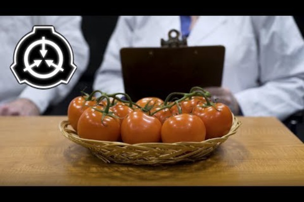 つまらないジョークを言うとトマトが飛んでくるscp 504の短編実写 ネタこもりブログ