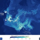 氷山が播く命の種