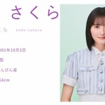 乃木坂46まとめ亭