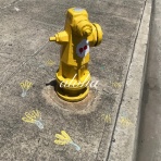 のほほん〜ハワイひとりごと♪