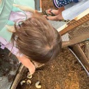 4月22日　つつじ🚌