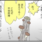 カイエのまにまに自由帳（旧 蓼食う虫もテキサス）