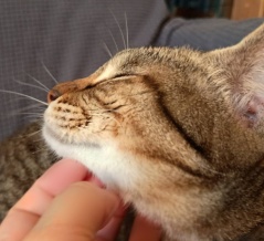 【片付け】維持が難しいのよ。と、水色マンボウ作りました。