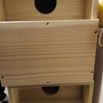 凸凹めだか凸凹の正直しんどい