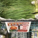 玉ねぎ植え付け