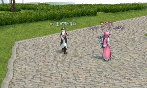 落馬した王城警備兵「ハッ異常なしであります！」