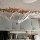 水漏れ祭りは続く・・・