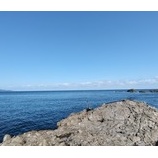 『2026初釣り』の画像