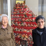 『雛めぐり🎎❤️』の画像