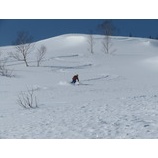 �إХå�����ȥ꡼�������ɥ���ȥ꡼��������ڤ���!�����٤β���