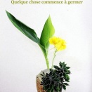 Un poème joué par un vase ―３０