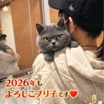 ダッチんぶろぐ@