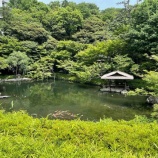 『父の日のお祝い』の画像