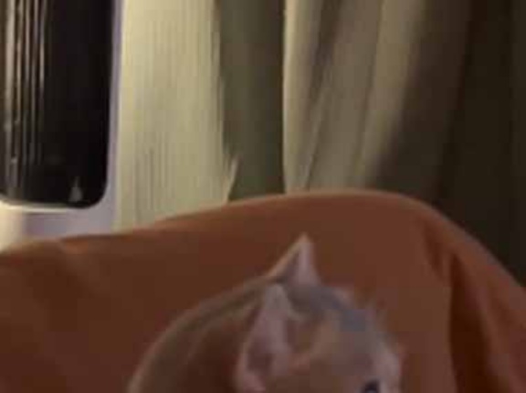 カレがずっとテレビを見ていたので、リモコンでオフしてみた → こんな顔になった…