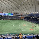 『巨人が勝ったのは気に入らないが、丸は素晴らしい』の画像