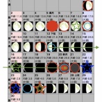 昔の優しい老夫婦の御蔭で