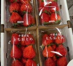 4/6（月）営業します