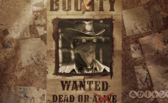 賞金首：カウガール・ジャニーヌ