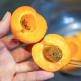 初挑戦！杏のシロップ煮を作ってみた