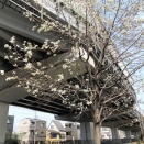 2026.3/30（月）の夕ご飯です