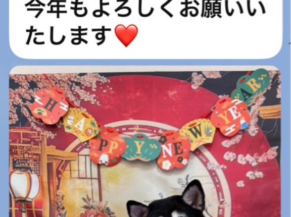 本年も宜しくお願い致します🙇‍♀️