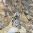 ダンジョン攻略戦