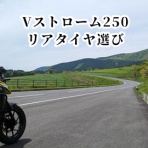 ゆるチャリダーの日誌