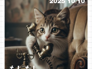 電話しまくる猫。