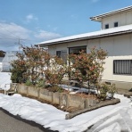 独身シニア男の「目指せスマートライフ」