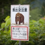 MoGood速報