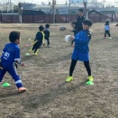 3月22日(日)Jr.練習🏉