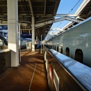 桃華園。中華大飯店。太鼓。(2025/12/24)