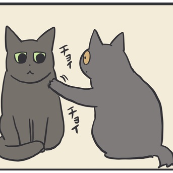 アヤちゃんが追いかけるのを見ない理由