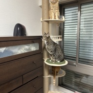 船便がやってきた！