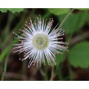 2026年4月15日の出来事