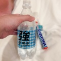 異物注入〜マゾ犬の場合〜