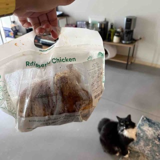 ハワイネコ ブログ