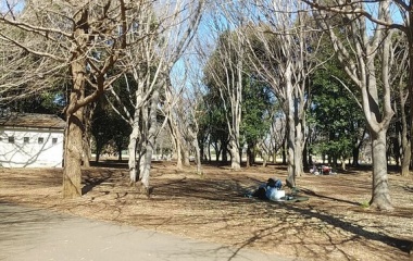 �����ӡ���ȥӡ��륵���С����Ϥ��٤β���