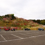 『2026.3 ㊗満開【神代梅の里公園】(A) / 岡山県津山市神代』の画像