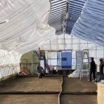 カツオのペタンク日記