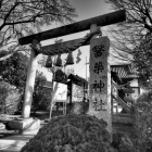 『ブラLAOWA～医薬神社　2022/03/21』の画像