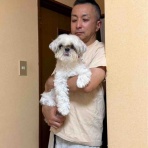 ふー と 菜種 の夢日記