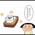 お腹弱すぎ猫