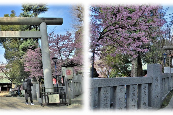 尾張のおじさんblog 上野公園