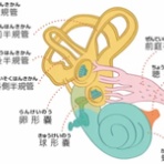 治療と運動｜ATTiVO（アッティーボ）/大阪