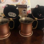 「でぶねこ」クロの一言blog