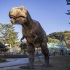 【画像】全身の63%が残る奇跡のティラノサウルス「ガス」、81億円で買われてしまう…科学者が恐れる“最悪のシナリオ”がこちらｗｗｗｗｗｗ