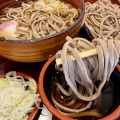 岩手県盛岡市盛岡駅前通1 立ち食いそば そばの花 せいろそば400円 かけそば400円