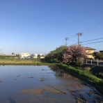 三重県よろずや